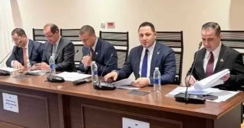 وزير المالية: نستهدف خفض الزمن الجمركى.. ولدينا خطة للتوسع فى السيارات الكهربائية