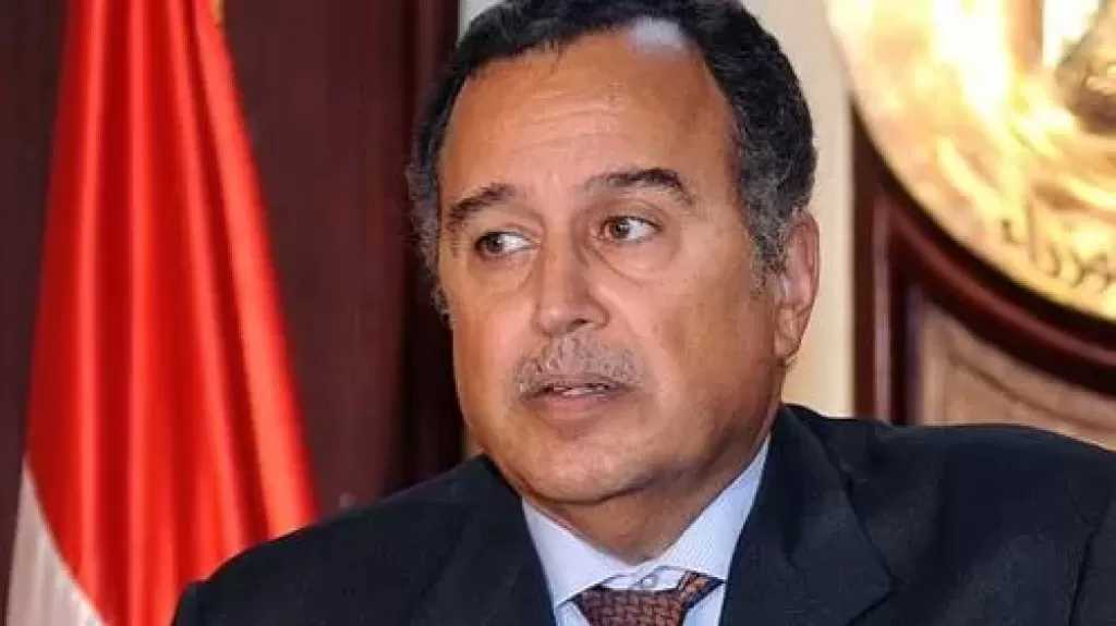 رئيس المستثمرين الأفرو آسيوي: اختيار نبيل فهمي أمينا للجامعة العربية طوق نجاة