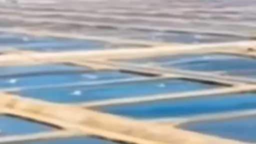 مزرعة المنزلة السمكية: تحقيق معدلات إنتاجية مرتفعة وتوفير الأسماك الطازجة بجودة عالية للسوق المحلي بأسعار مناسبة