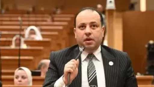 برلمانى: رسائل الرئيس السيسي فى ”إيجبس 2026” تحذر من موجة غلاء عالمية