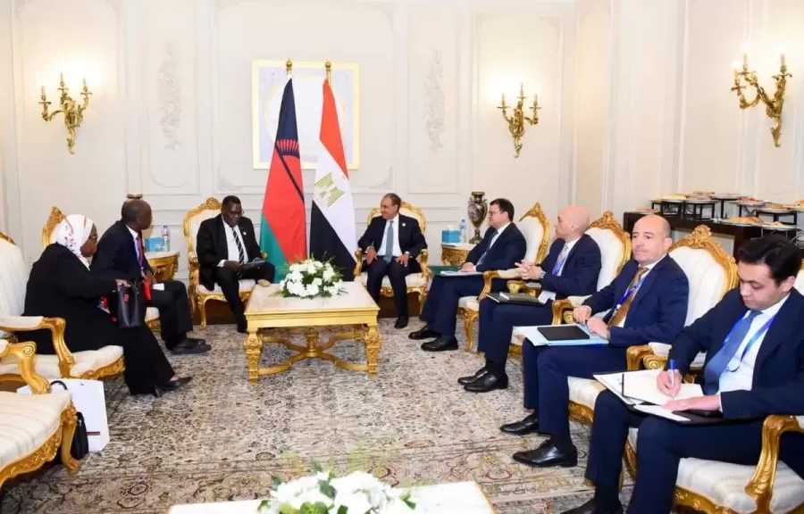 وزير الخارجية يلتقي نظيره المالاوي لبحث سبل تعزيز العلاقات الثنائية