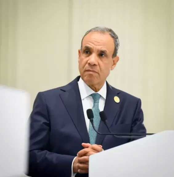 وزير الخارجية: مشروع الضبعة النووية يحقق تقدما رغم كل التحديات