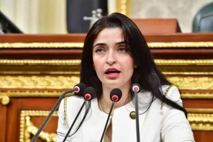 مطالب برلمانية بالتوسع في الطاقة المتجددة لتحقيق الاكتفاء الذاتي وتقليل فاتورة الاستيراد