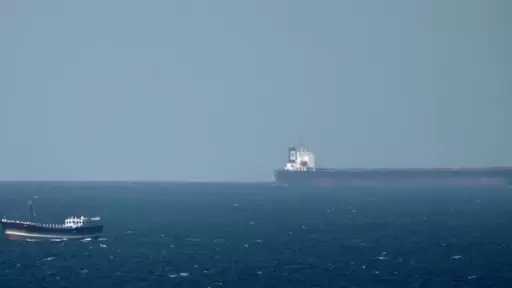 خبير اقتصادي: مصر تعظم الاستفادة من مواردها الطبيعية والبشرية عبر شراكات دولية