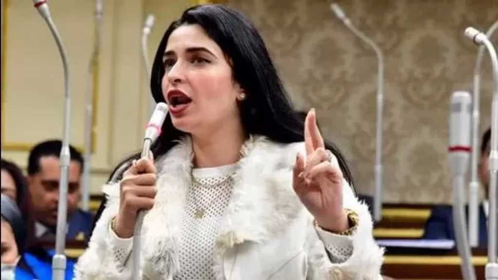 مطالب برلمانية بدعم تحويل المناطق الصناعية لـ ذكية ومنتجة للكهرباء