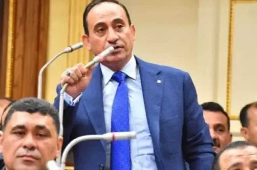 النائب محمد زين الدين يطالب برقابة صارمة على قرار العمل عن بُعد منعا لتعطل مصالح المواطنين