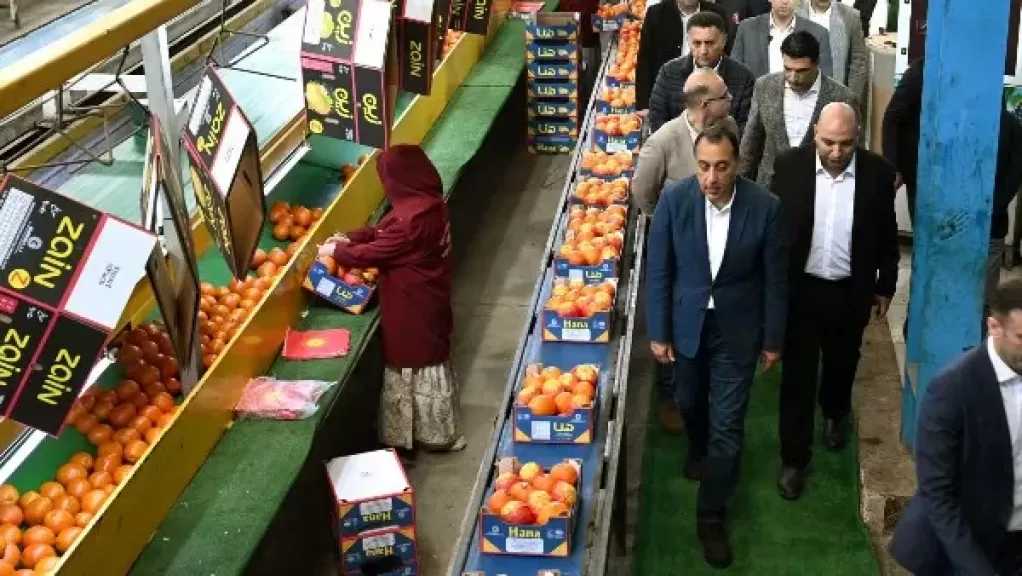 رئيس الوزراء يتفقد محطة لتعبئة الموالح والحاصلات الزراعية بالقليوبية