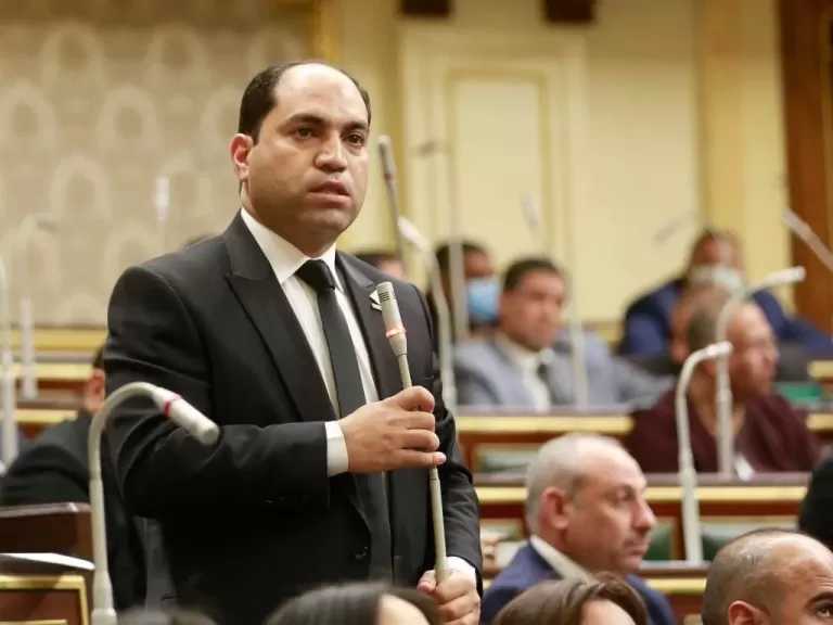 عمرو درويش: التنسيقية ستجري حوارا مجتمعيا بين الأحزاب السياسية حول قانون الإدارة المحلية