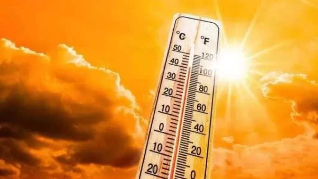 ”الأرصاد” تحذر من ذروة ارتفاع الحرارة وشبورة كثيفة تضرب الطرق