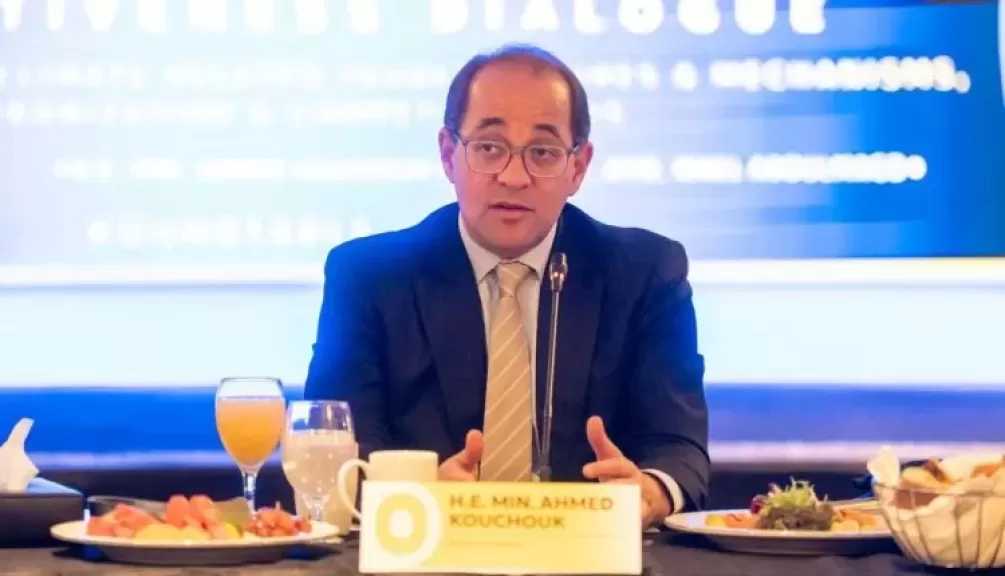 وزير المالية: نتحرك بقوة لرفع كفاءة استخدام الطاقة بالاقتصاد المصري والتوسع فى الطاقات الجديدة والمتجددة