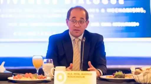 وزير المالية: نتحرك بقوة لرفع كفاءة استخدام الطاقة بالاقتصاد المصري والتوسع فى الطاقات الجديدة والمتجددة