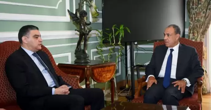 وزير الخارجية يبحث دعم نفاذ الدواء المصري إلى الأسواق الأفريقية
