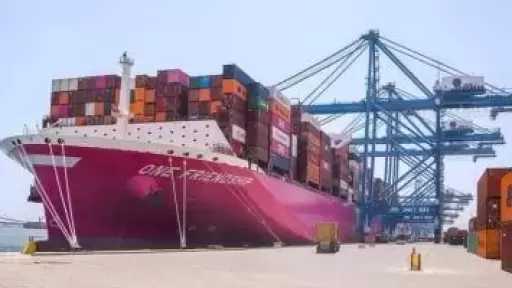 تداول 102 ألف طن بضائع متنوعة في ميناء دمياط