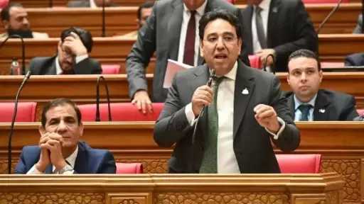 برلماني يطالب بخطة عاجلة لتعزيز كفاءة الكهرباء ودعم الاستثمار الأخضر