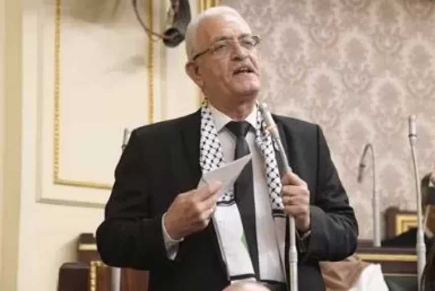 النائب عاطف مغاوري يؤكد ضرورة التركيز على حماية الأطفال: أمانة في عنقي الطرفين حتى بعد الانفصال