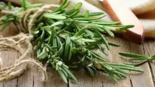 من مطبخك.. عشبة تساعد فى تعزيز الذاكرة وتقليل القلق والوقاية من الزهايمر