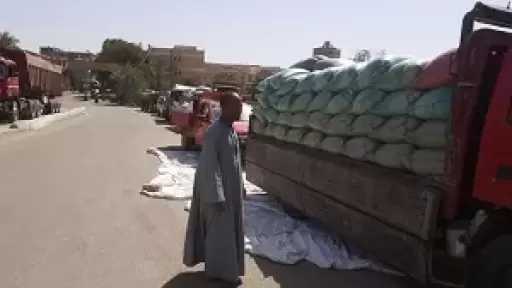 محافظ أسيوط: توريد 3560 طن قمح محلي للصوامع والشون
