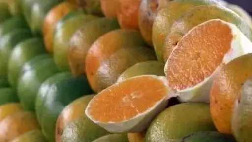 8 أسباب لتناول الفواكه الحمضية وتحسين صحتك