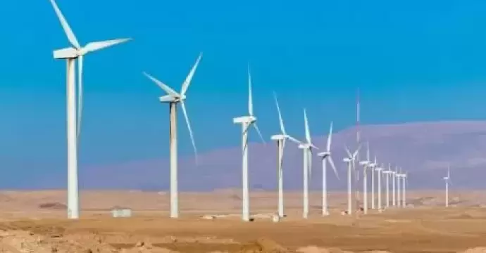 تقرير: مصر تستأنف زخم طاقة الرياح مع طفرة عالمية للطاقة النظيفة