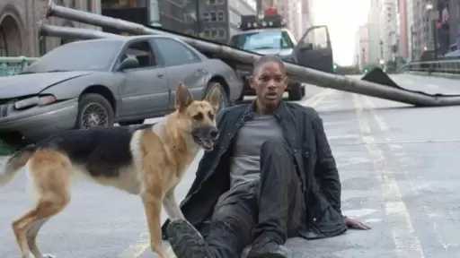 رسميا.. بدء العمل على الجزء الثاني من فيلم I Am Legend لويل سميث