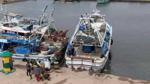 انتظام حركة الصيد والملاحة في بحيرة البرلس بكفر الشيخ