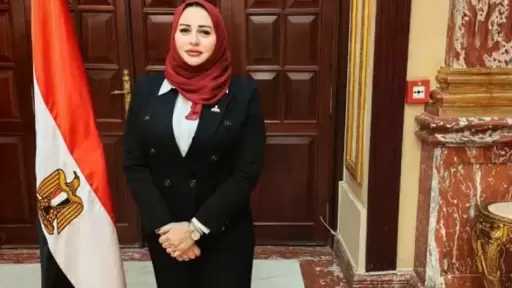 شيرين صبري: رسائل الرئيس في عيد العمال تؤسس لمرحلة جديدة من تمكين العمالة غير المنتظمة