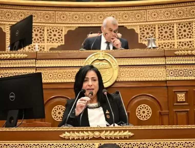 النائبة ميرال الهريدي تستعرض طلبها لاستيضاح سياسة الحكومة في مواجهة انتشار منصات المراهنات الرياضية بالملاعب