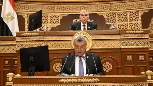 ”الشيوخ” يوافق مبدئيًا على تعديل قانون التأمينات الاجتماعية لضمان الاستدامة المالية