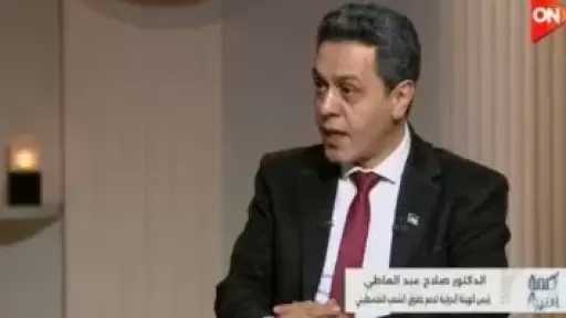 هيئة دعم فلسطين: مصر تدعم صمود غزة والاحتلال يعرقل الهدنة