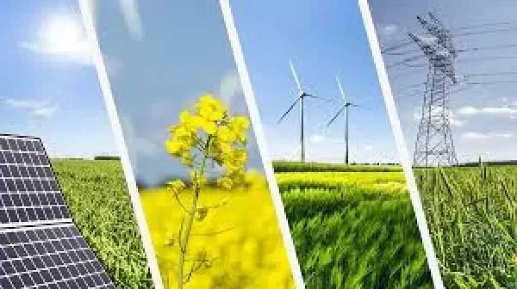 الكهرباء: نهدف لمساهمة الطاقة المتجددة في المزيج القومي لـ42% بحلول 2030