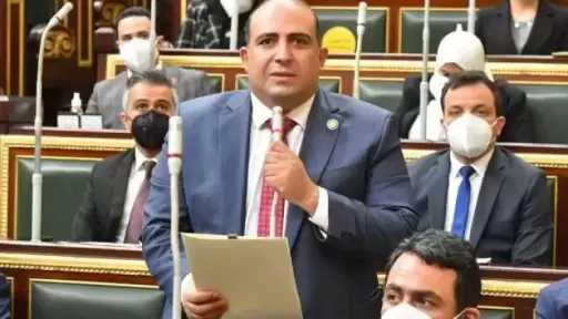 نائب: زيارة الشيخ محمد بن زايد لمصر يُعزز الرؤية المشتركة بين البلدين لبناء مستقبل أكثر استقرارًا