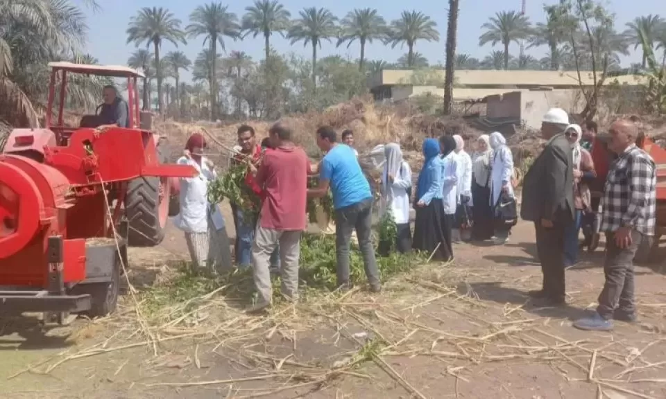 خط أحمر