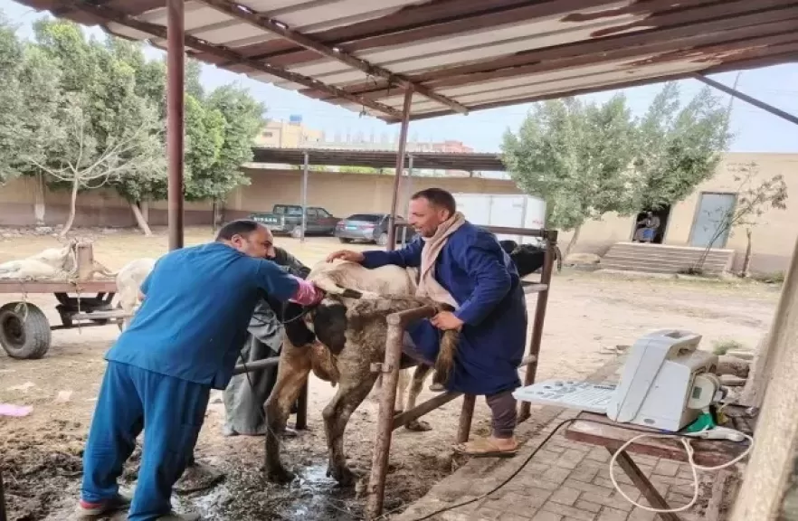 خط أحمر