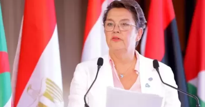 مسؤولة أممية تشيد بخطوات مصر فى مكافحة جرائم تقنية المعلومات