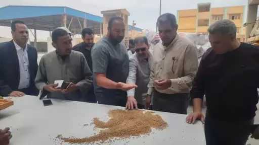 توريد 42000 طن قمح لشون وصوامع البحيرة