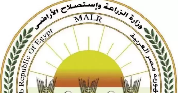 بسبب سوء الأحوال الجوية.. الزراعة توجه بوقف الري والرش فورًا بهذه المناطق