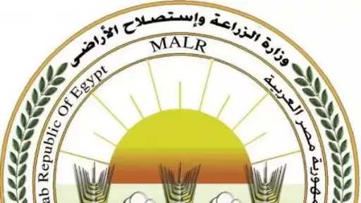 أخبار