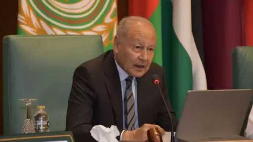 أبوالغيط: الدفاع عن مبدأ حرية الملاحة وسلامة الممرات البحرية يمثل مصلحة عربية