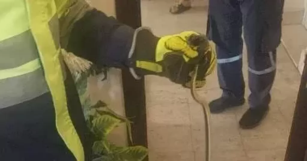 خط أحمر