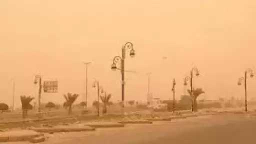 أخبار