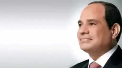 الرئيس السيسي يؤكد أهمية تعزيز التعاون بين مصر والمجلس العالمي للسفر والسياحة