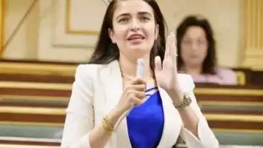 النائبة إيرين سعيد ترفض الحساب الختامي: الموازنة غير منضبطة وبها كمية من الانحرافات