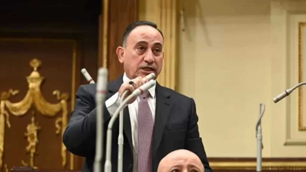 النائب محمد زين الدين: رضا المواطن المؤشر الحقيقي لنجاح واستقرار الاقتصاد