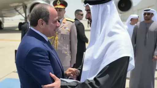 أخبار