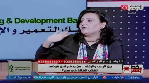 تمويل شخصي وجهود تطوعية.. الوجه الآخر لعمل ناشطي حقوق الحيوان
