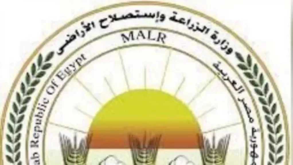 غدا| الزراعة تبدأ في صرف أسمدة الموسم الصيفي.. إجراءات صارمة للرقابة والمتابعة