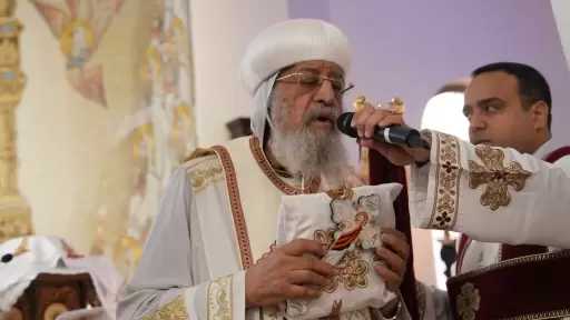 أخبار
