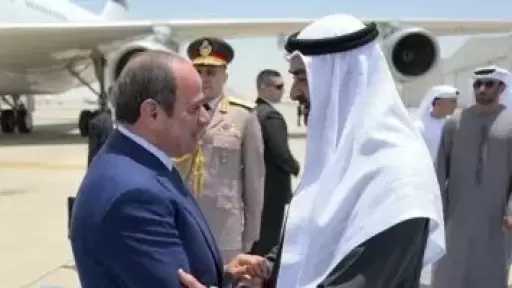 أستاذ علوم سياسية: القاهرة تبعث رسالة للعالم برفضها أى اعتداء يمس سيادة الإمارات