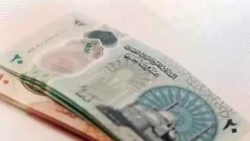 أخبار