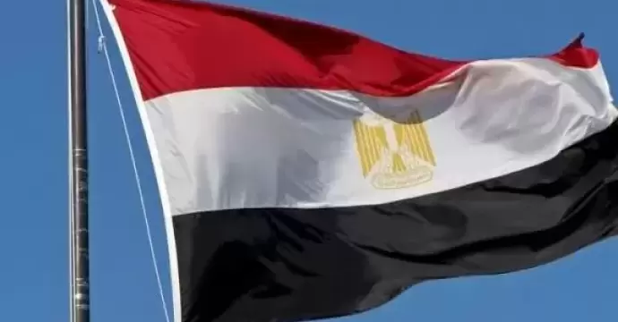 مصر تدين استهداف محيط محطة براكة للطاقة النووية بالإمارات وتؤكد تضامنها معها